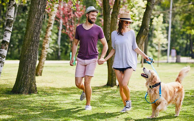 Pärchen mit Hund am Spazieren