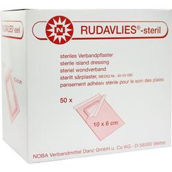 RUDAVLIES STER 10CMX6CM VE