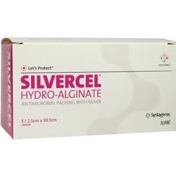 SILVERCEL HY TAMP 2.5X30.5