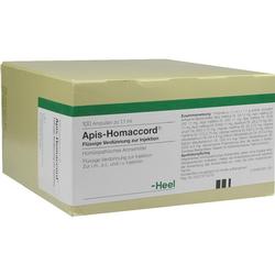 APIS HOMACCORD