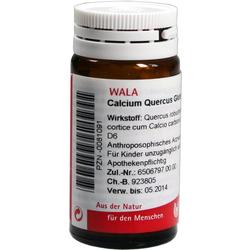 CALCIUM QUERCUS GLOB VELAT