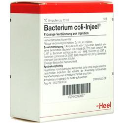 BACTERIUM COLI INJ NOS