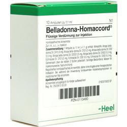 BELLADONNA HOMACCORD