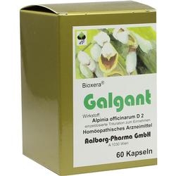 GALGANT