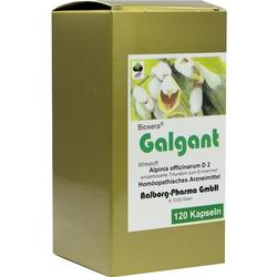 GALGANT