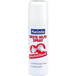 KWIZDA ERSTE HIL SPRAY