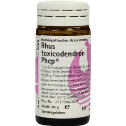 RHUS TOXICODENDRON PHCP