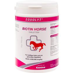 EQUOLYT BIOTIN HORSE