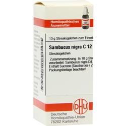 SAMBUCUS NIGRA C12