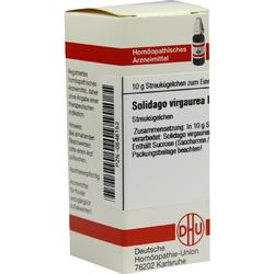 SOLIDAGO VIRGA D 8