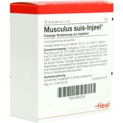 MUSCULUS SUIS INJ ORG