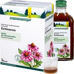 ECHINACEA SCHOENENBERGER