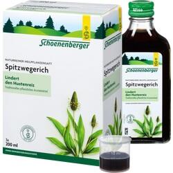 SPITZWEGERICH SCHOENENB