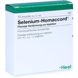 SELENIUM HOMACCORD