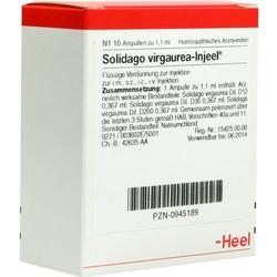 SOLIDAGO VIRGA INJ