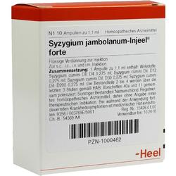 SYZYGIUM JAMB INJ FORTE