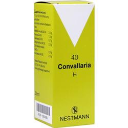 CONVALLARIA H 40