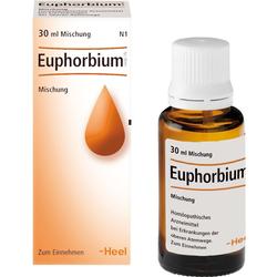 EUPHORBIUM COMP SN