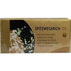 SPITZWEGERICHTEE