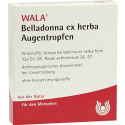 BELLADONNA EX HERBA ATR