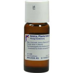 ARNICA PLANTA TOTA D 3