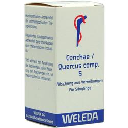 CONCHAE QUERCUS COMP S