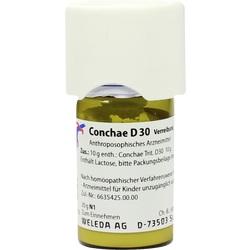 CONCHAE D30