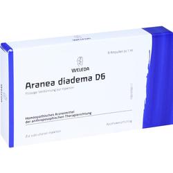 ARANEA DIADEMA D 6