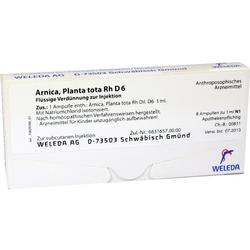 ARNICA PLANTA TOTA RH D 6