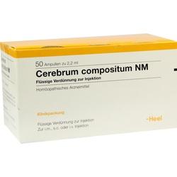 CEREBRUM COMPOSITUM NM