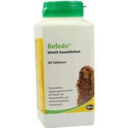 BEFEDO MINVIT HUNDE VET