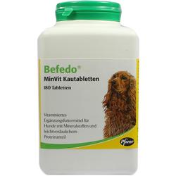 BEFEDO MINVIT HUNDE VET