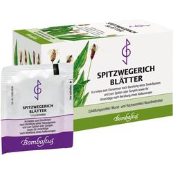 SPITZWEGERICHBLAETTER