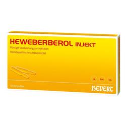 HEWEBERBEROL INJEKT