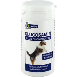 GLUCOSAMIN+CHONDRO HUNDE