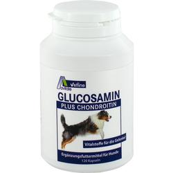 GLUCOSAMIN+CHONDRO HUNDE