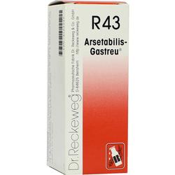 ARSETABILIS GASTREU R43