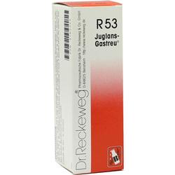 JUGLANS GASTREU R53