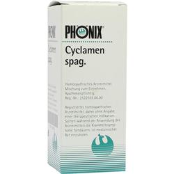 PHOENIX CYCLAMEN SPAG