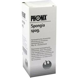 PHOENIX SPONGIA SPAG