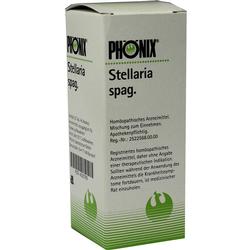 PHOENIX STELLARIA SPAG