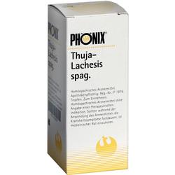 PHOENIX THUJA LACHES SPAG