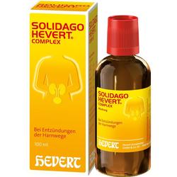 SOLIDAGO HEVERT COMPLEX