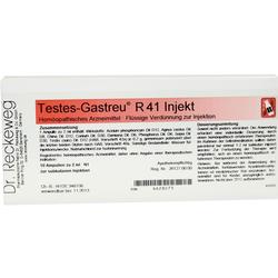 TESTES GASTREU R41 INJEKT