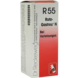 RUTA GASTREU N R55