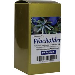 WACHOLDER