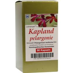 KAPLANDPELARGONIE