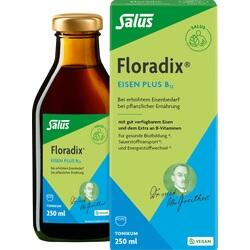 FLORADIX EISEN PLUS B12VEG