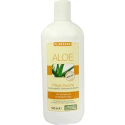 PLANTANA ALOE VERA PFL D B