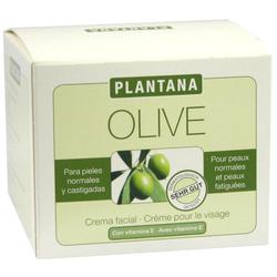 PLANTANA OLIVE BUTT GESICH